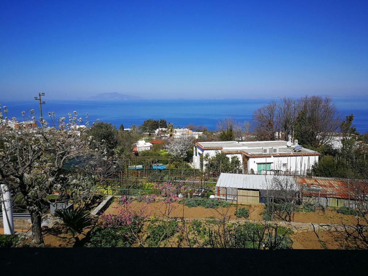Maryhome Anacapri  Buitenkant foto